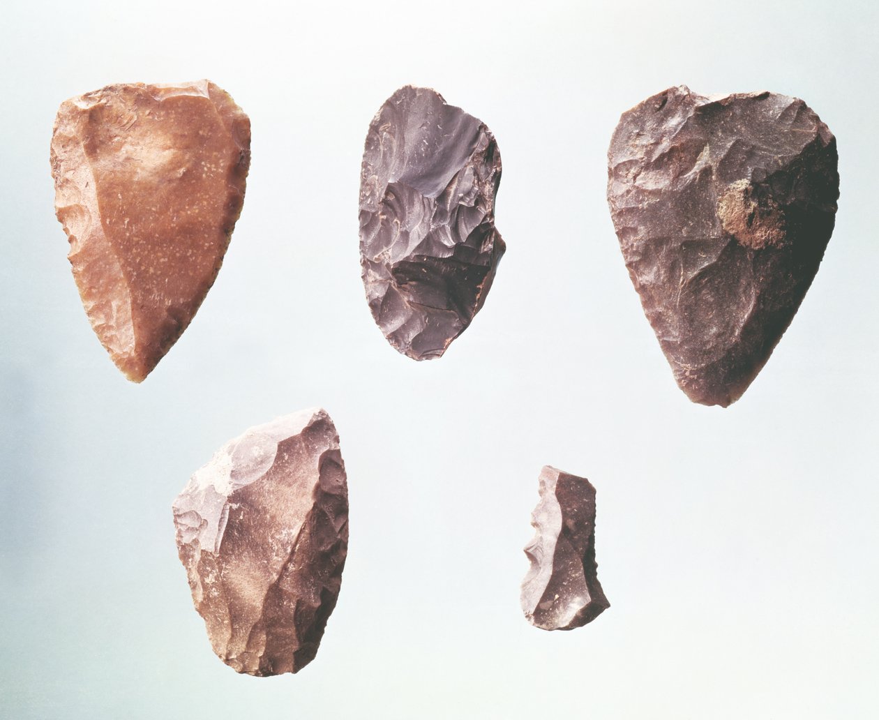 Prehistoric Stone Tools From The Grotte De Placard 80000 35000 BC